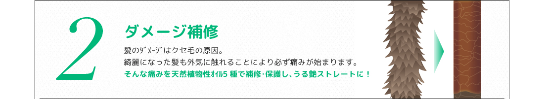 ２、ダメージ補修