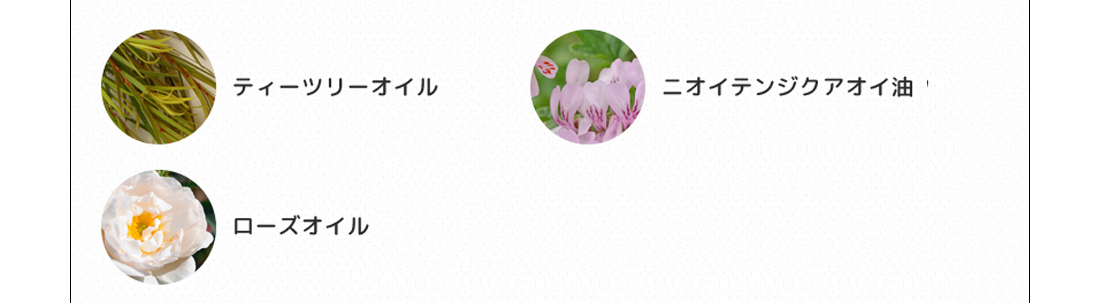 ティーツリーオイル、ニオイテンジクアオイ、ローズオイル