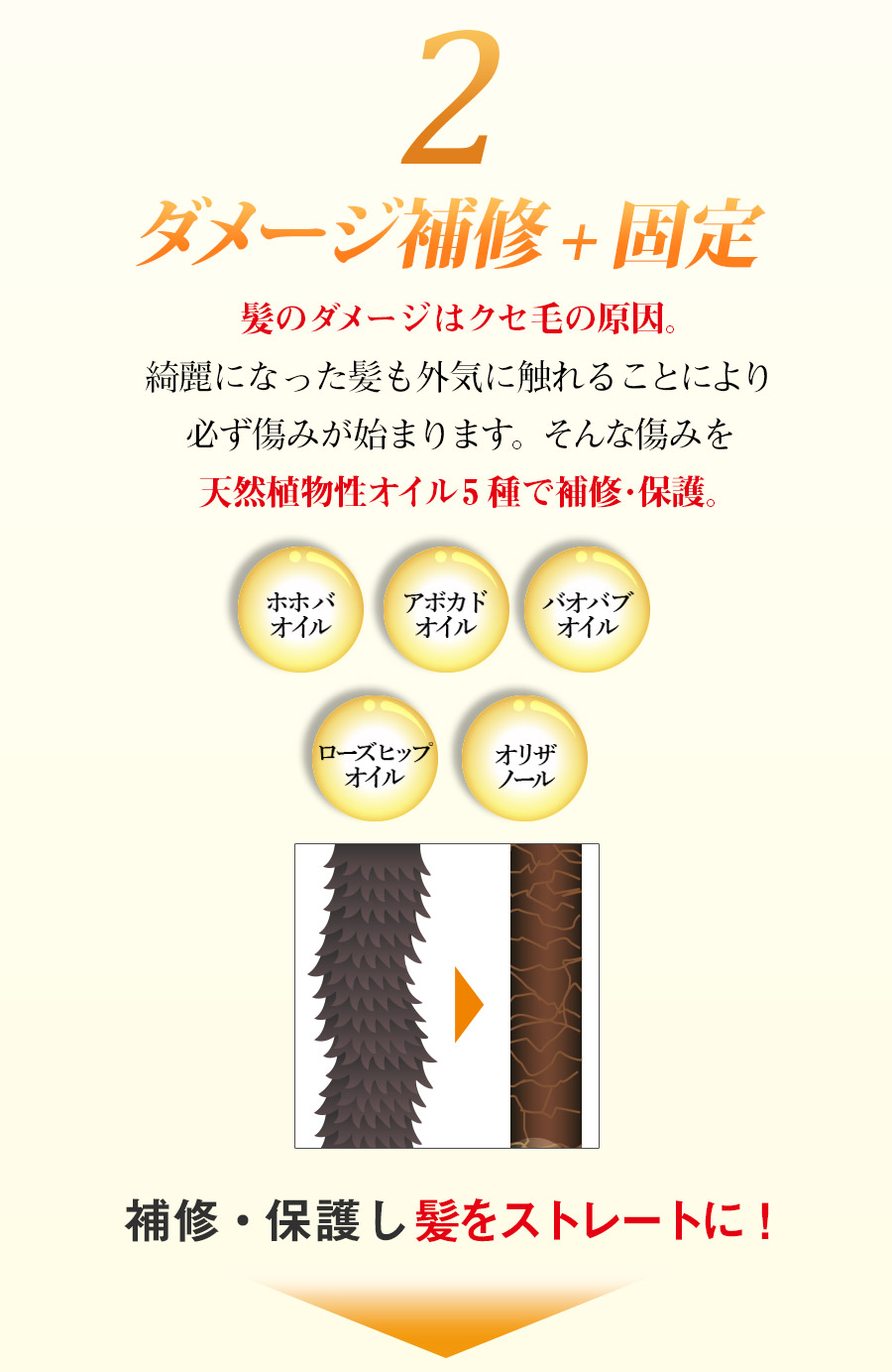 お客様の声,ﾍｱｴｯｾﾝｽｵｲﾙ,ヘアオイル,限定,ローズ,きんもくせい,VALANROSE,アルバローズ,メカニズム