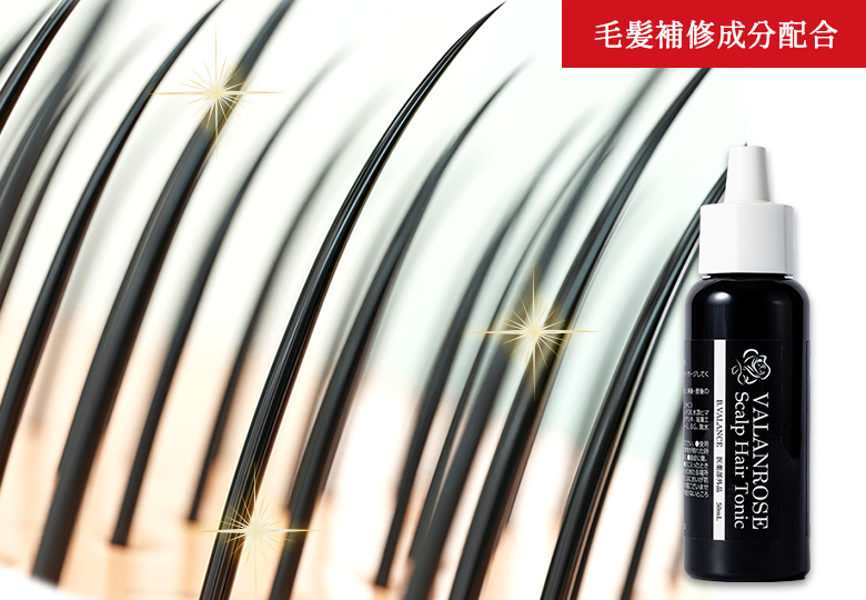 毛髪補修成分配合