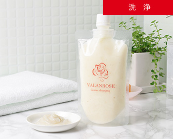 ガリカバラの花びらから取れたスクラブ