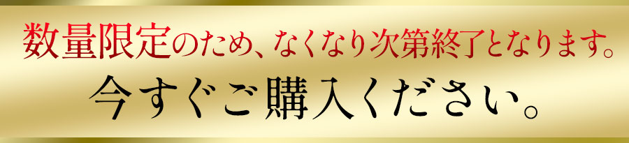 数量限定発売