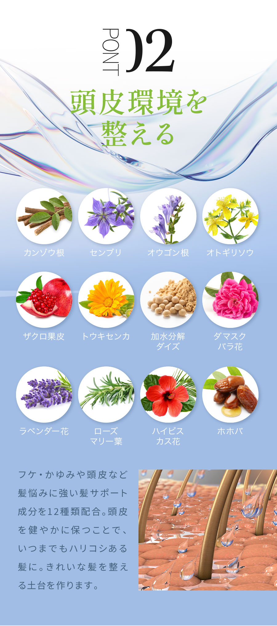 02頭皮環境を整える