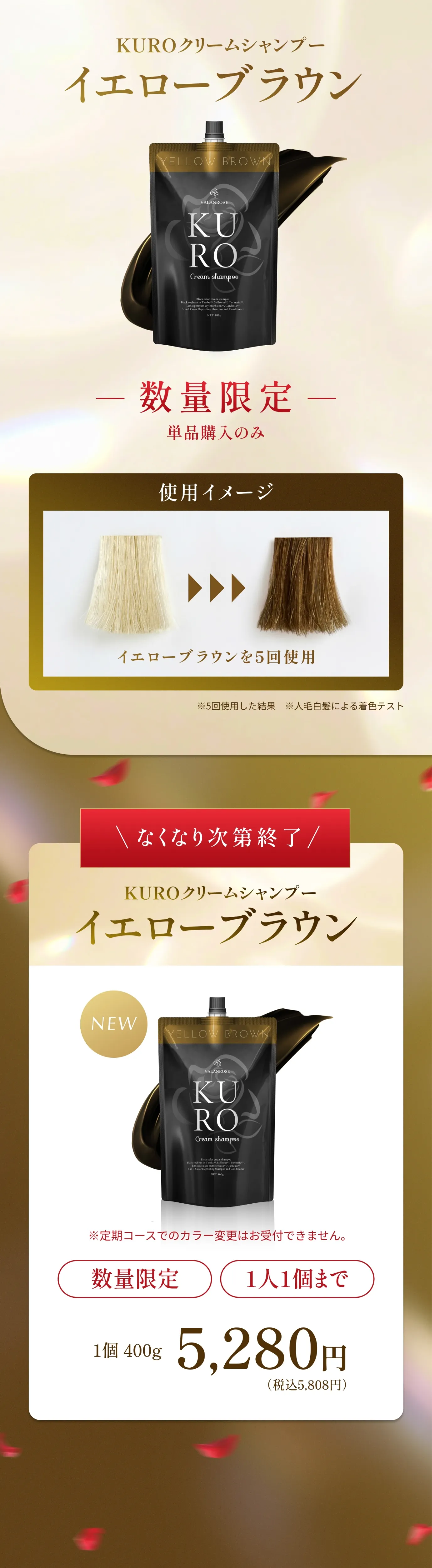 数量限定単品購入のみ